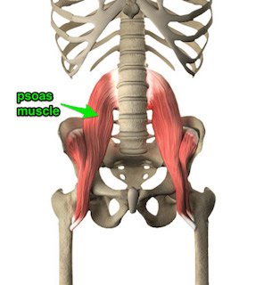 smaller psoas